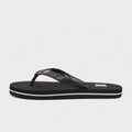 Iconic Flip Flops (2)
