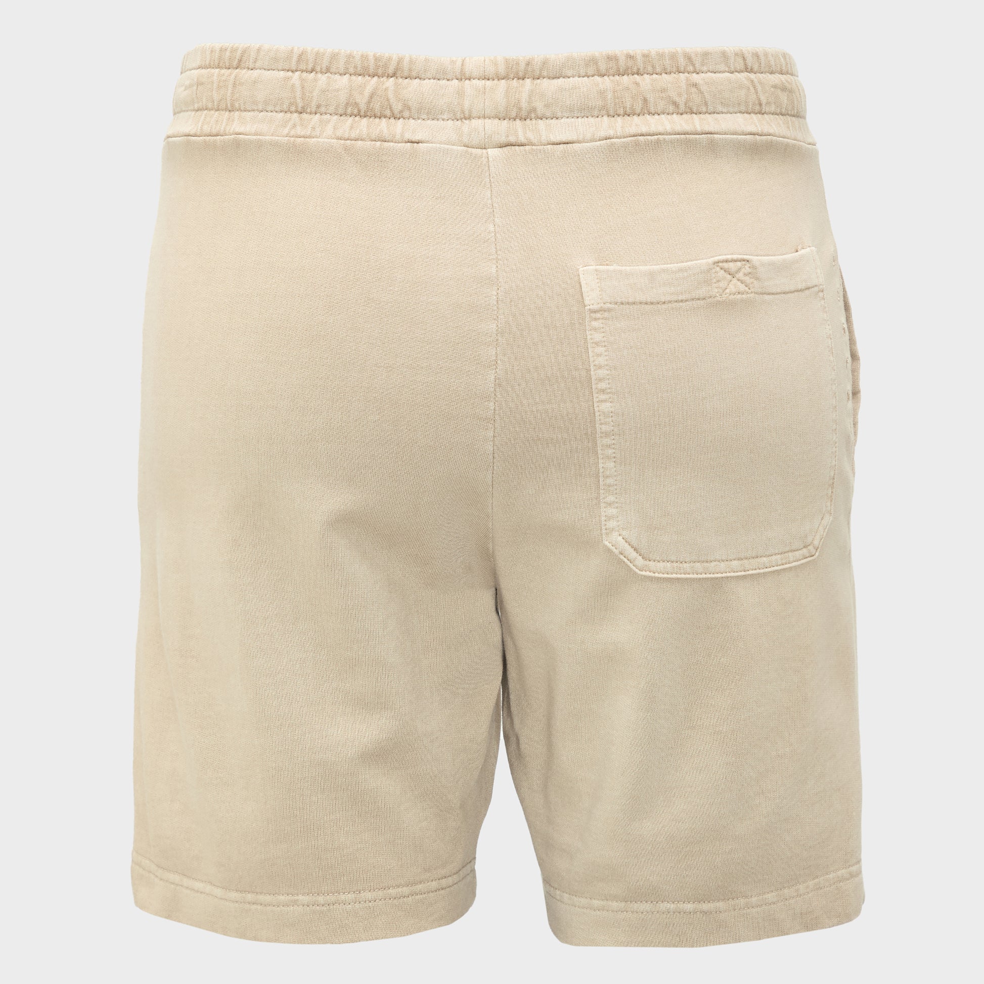 Icon Fixed 19" Boardshorts (2)