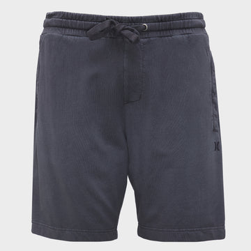 Icon Fixed 19" Boardshorts