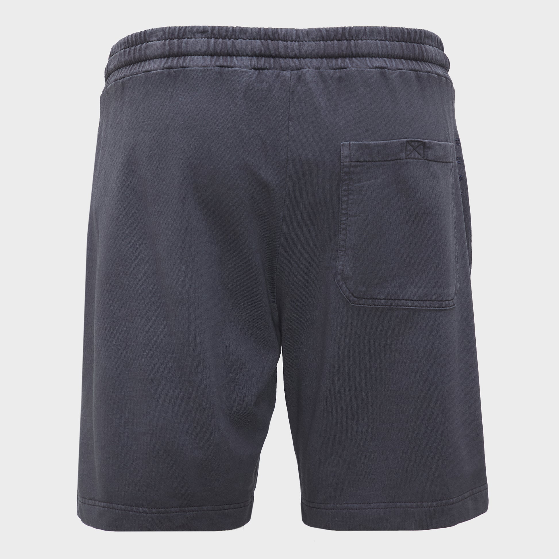Icon Fixed 19" Boardshorts (2)