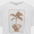 Elaphrica Ss T-Shirt (2)